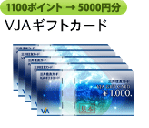 1100ポイント→5000円分 VJAギフトカード