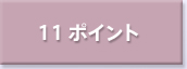 11ポイント