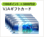 1100ポイント→5000円分　VJAギフトカード