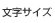 文字サイズ