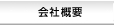 三井住友VISAカード 会社概要