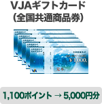 VJAギフトカード（全国共通商品券） 1100ポイント → 5,000円分