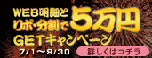 Web明細とリボ・分割で5万円GETキャンペーン