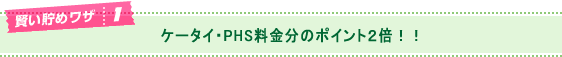 ケータイ・PHS料金分のポイント2倍！！