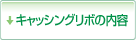 キャッシング内容・ご利用内容・ご返済内容