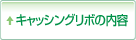 キャッシング内容・ご利用内容・ご返済内容