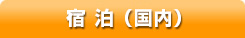 宿泊