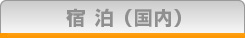 宿泊