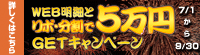WEB明細とリボ・分割で5万円GETキャンペーン