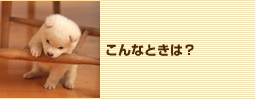 こんなときは？
