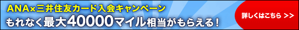 ANAカードとSuicaの機能がひとつに！ANA VISA Suicaカード 詳細はこちら