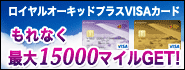 ViViカード 新規インターネット入会キャンペーン