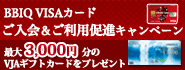 フライング・ブルーVISAカード インターネット入会キャンペーン