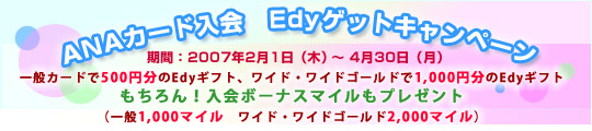 ANAカード入会　Edyゲットキャンペーン
