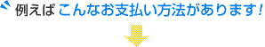 例えばこんなお支払い方法があります！