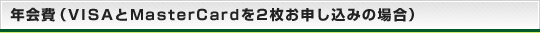 年会費（VISAとMasterCardを2枚お申し込みの場合）