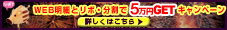 WEB明細とリボ・分割で5万円GET