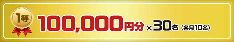 1等 100,000円分×30名（各月10名）