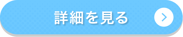 詳細を見る