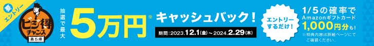 ビジ得キャンペーン