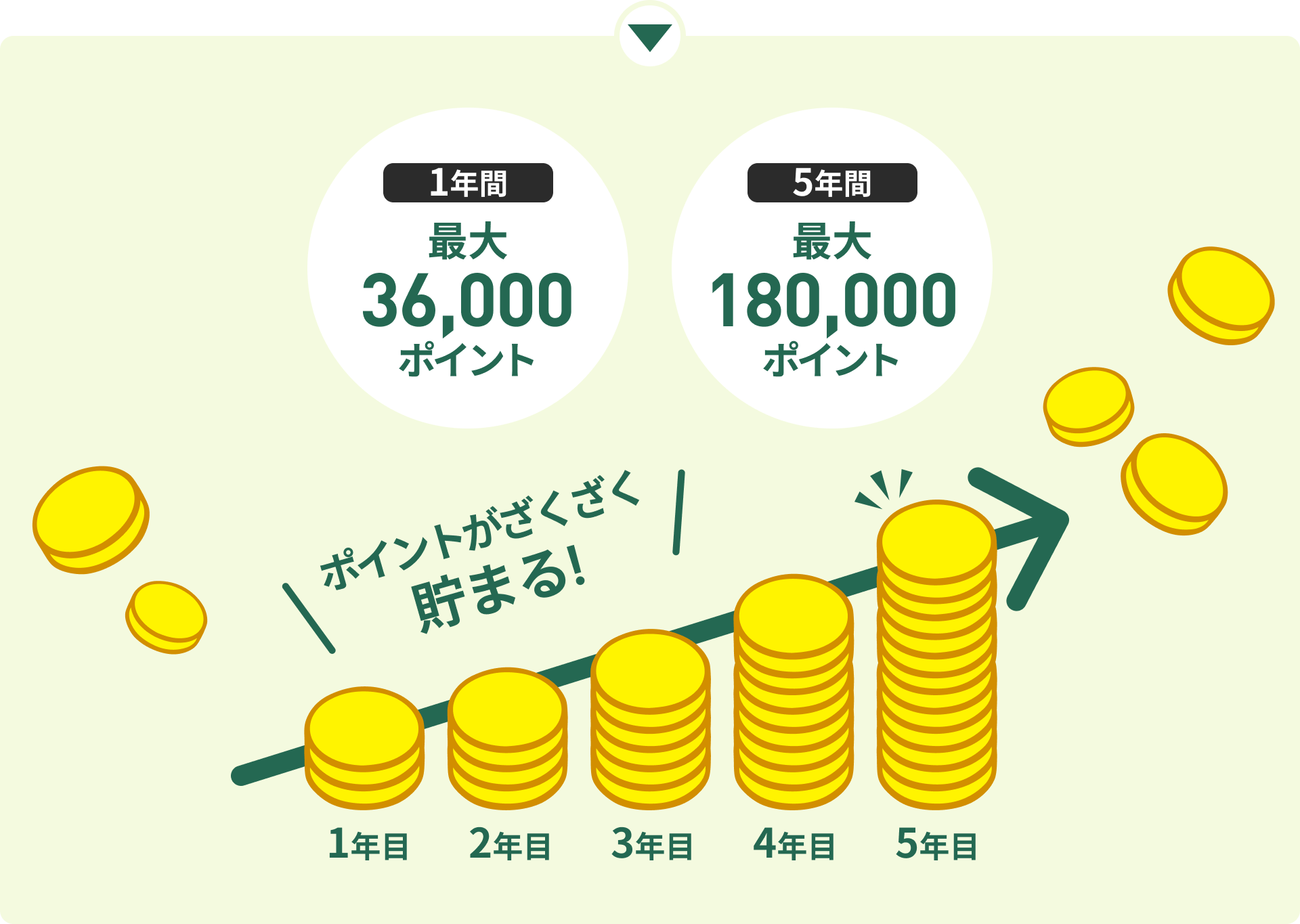 ポイントざくざく貯まる