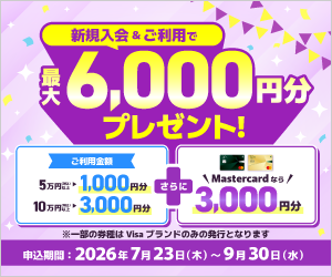 個別キャンペーン