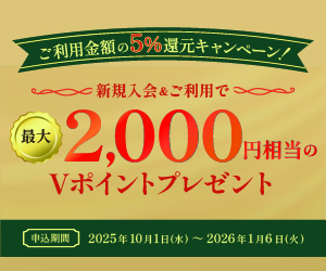 個別キャンペーン