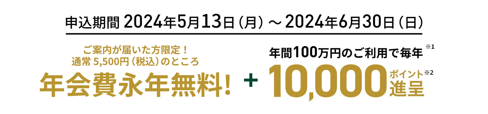 ご案内が届いた方限定！通常5,500円（税込）のところ年会費永年無料！＋年間100万円のご利用で毎年10,000ポイント進呈