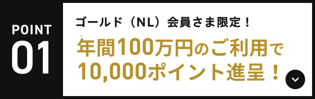 POINT01 ゴールド（NL）会員さま限定！年間100万円のご利用で10,000ポイント進呈！
