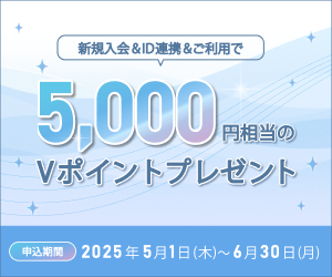 個別キャンペーン