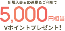 個別キャンペーン