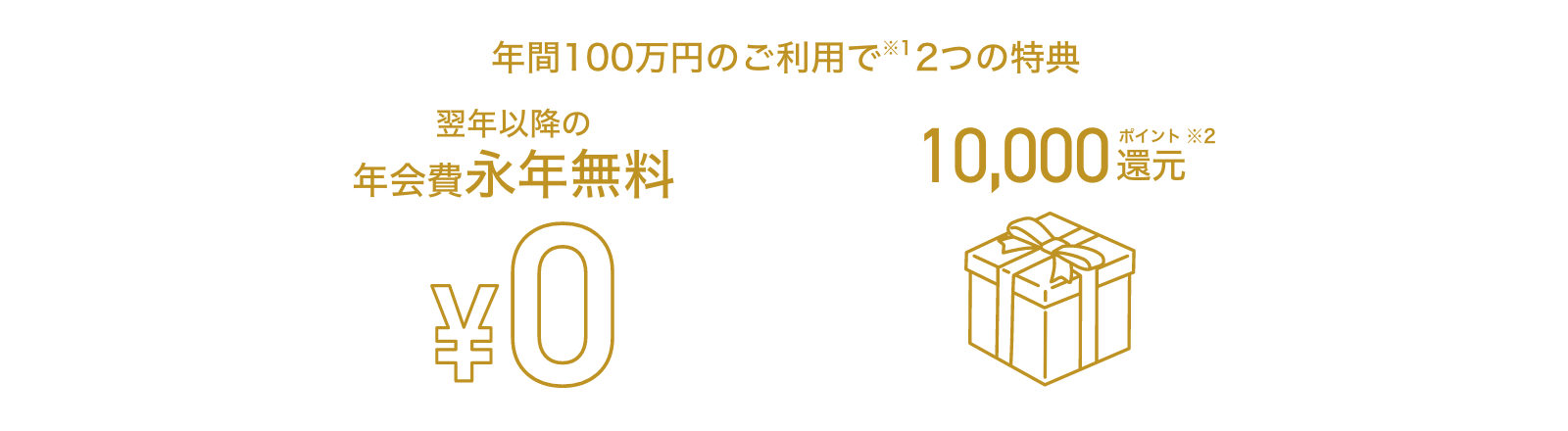 年間100万円のご利用で翌年以降の年会費永年無料 毎年10,000ポイント還元