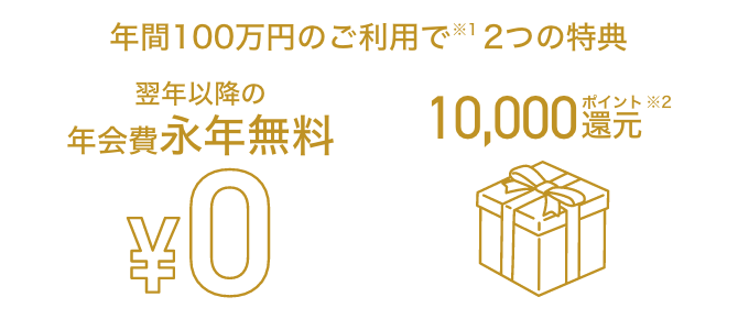 年間100万円のご利用で翌年以降の年会費永年無料 毎年10,000ポイント還元