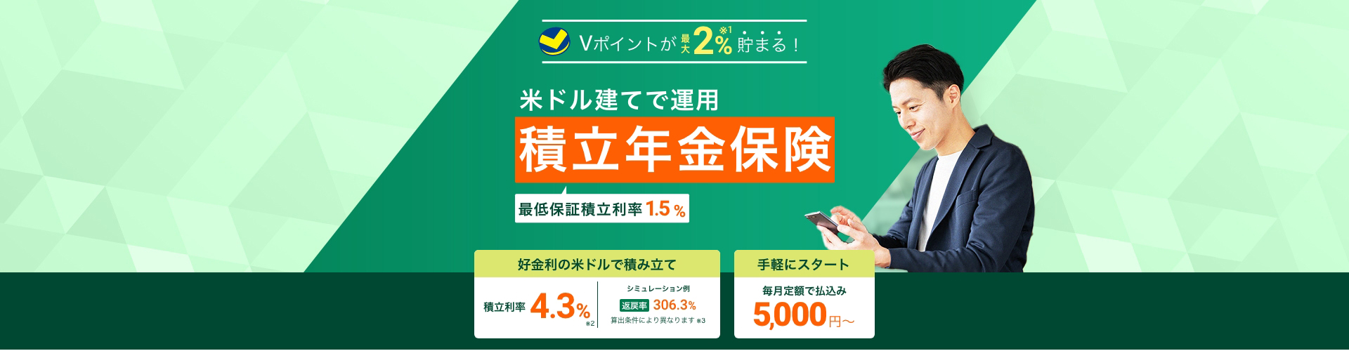 Vポイントが最大2％貯まる！米ドル運用　積立年金保険