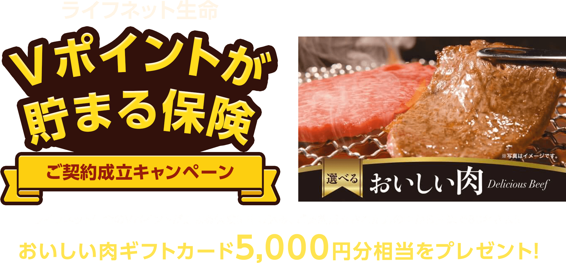 ライフネット生命 Vポイントが貯まる保険 ご成約成立キャンペーン ライフネット生命のVポイントが貯まる保険に申し込み、ご契約成立された方の中から抽選で80名さまにおいしい肉ギフトカード5,000円分相当をプレゼント！