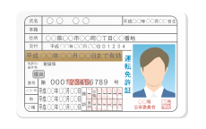 運転免許証の見本