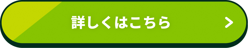 詳細を見る