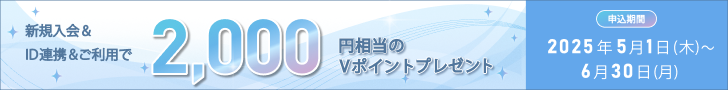 個別キャンペーン