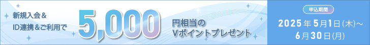 個別キャンペーン
