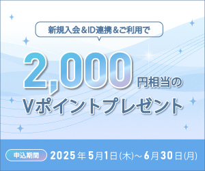 個別キャンペーン