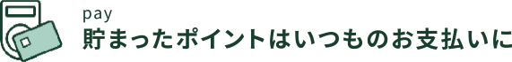 pay 貯まったポイントはいつものお支払いに