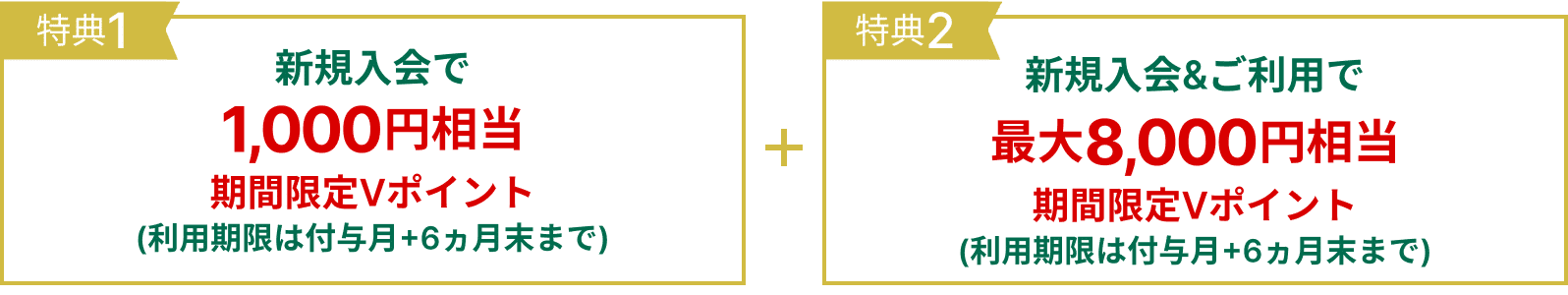 新規入会で1,000円相当期間限定Vポイント＋新規入会＆ご利用で最大8,000円相当期間限定Vポイント