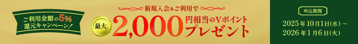 個別キャンペーン