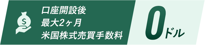 口座開設後最大2ヶ月米国株式売買手数料 0ドル