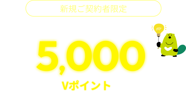 新規ご契約者限定 キャンペーン期間中に、最大5,000円相当のVポイントプレゼント