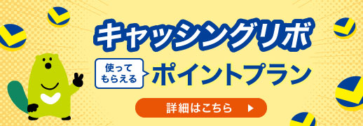 キャッシングリボ　使ってもらえるポイントプラン