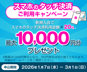 個別キャンペーン