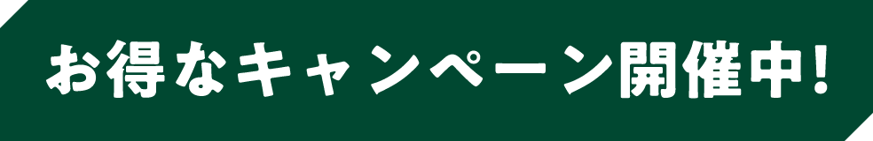 お得なキャンペーン開催中！