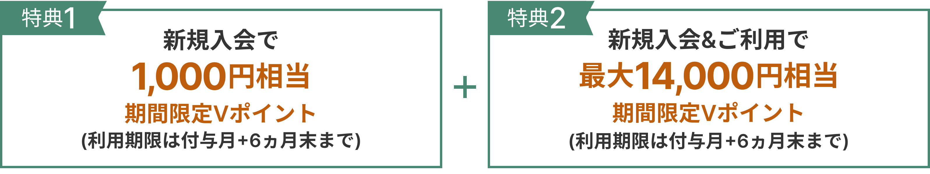 特典1新規入会で1,000円相当期間限定Vポイント＋特典2新規入会＆ご利用で最大14,000円相当期間限定Vポイント