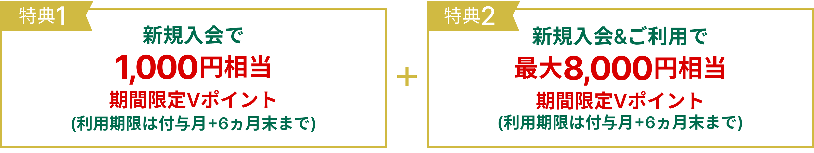 新規入会で1,000円分Vポイントギフトコードをプレゼント！新規入会＆ご利用で最大7,000円相当のVポイントプレゼント！